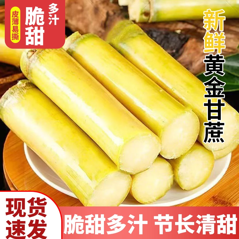 【T】云南黄金甘蔗新鲜当季水果现砍黄皮甘蔗脆甜多汁