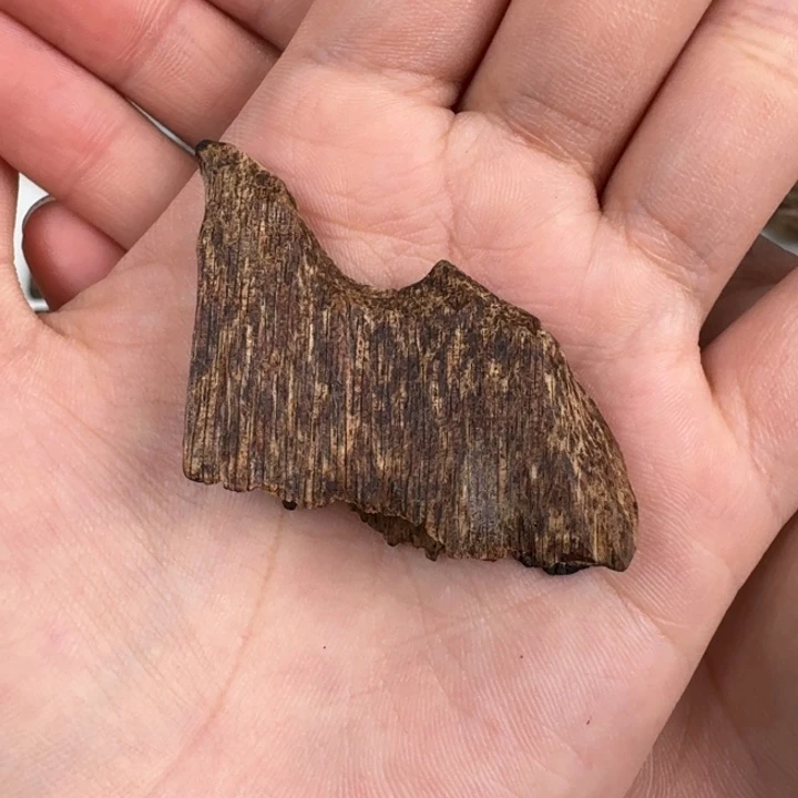 伟业香堂越南沉水料5.7克