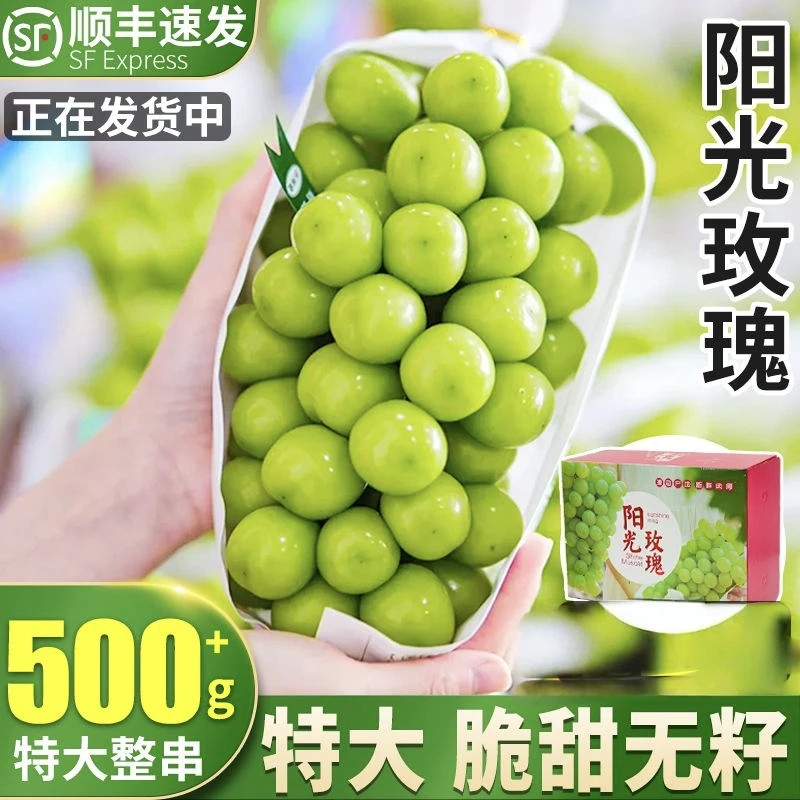 新鲜阳光玫瑰葡萄晴王葡萄提子晴王青提无核清甜可口一口爆汁水果