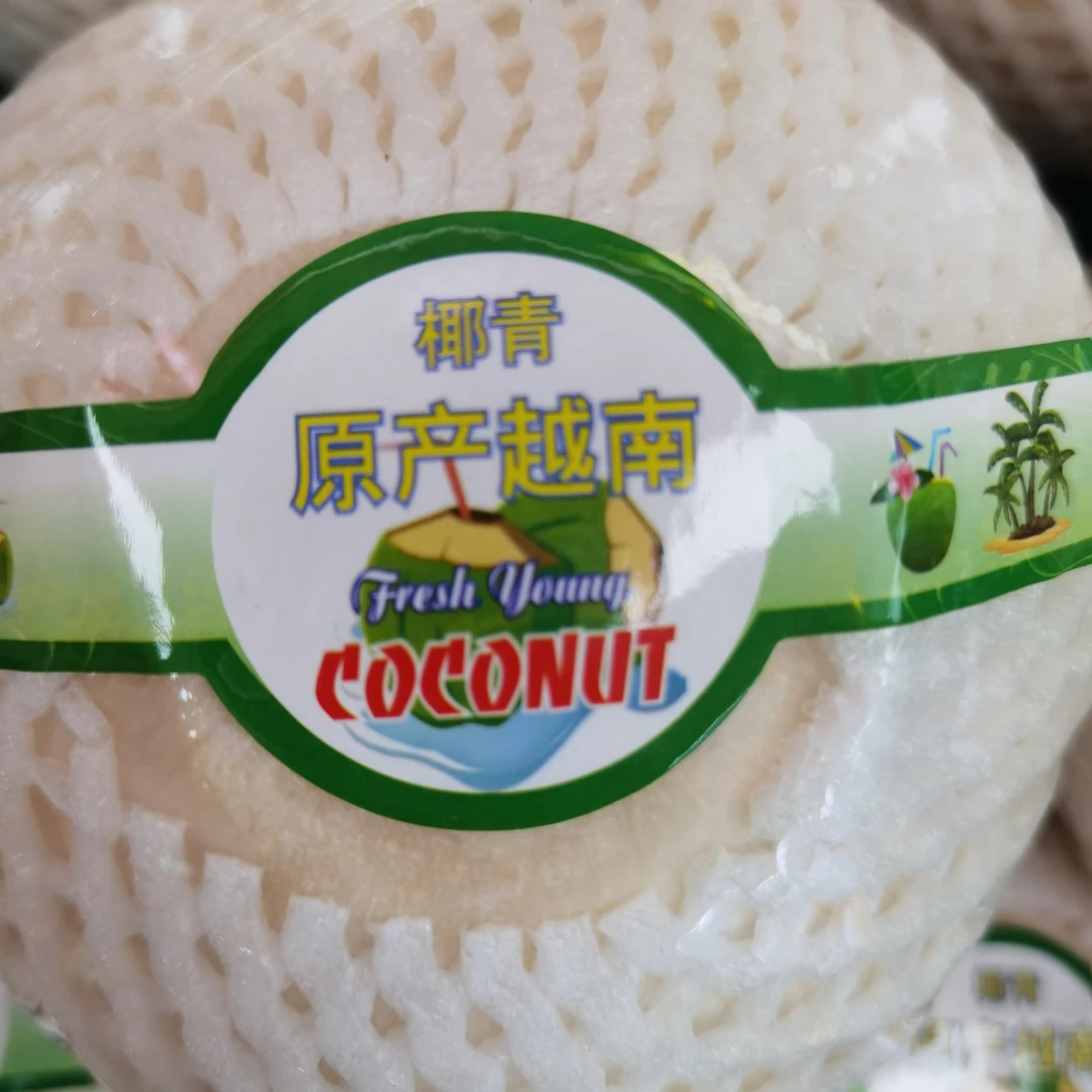 越南新鲜椰青小时直达精选大果清甜解渴汁液充沛水果