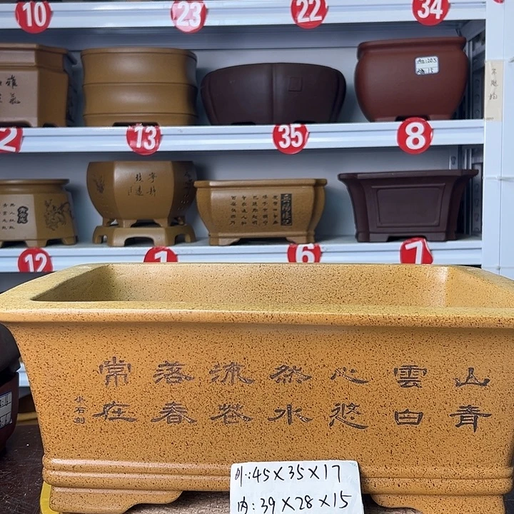 紫砂花盆你在一起