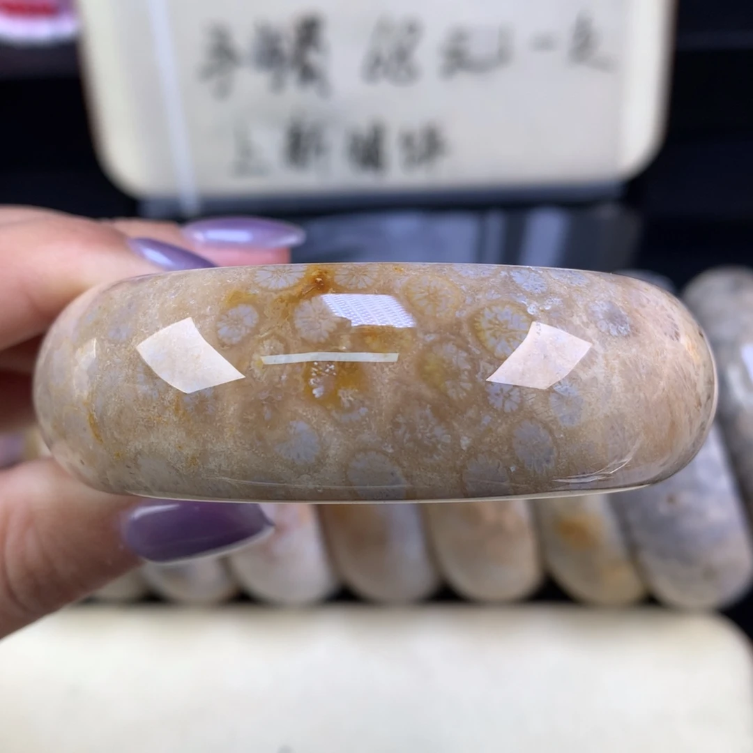 硅化珊瑚（珊瑚玉）未镶嵌吊坠(赠链)上新手镯56.3口（24号）