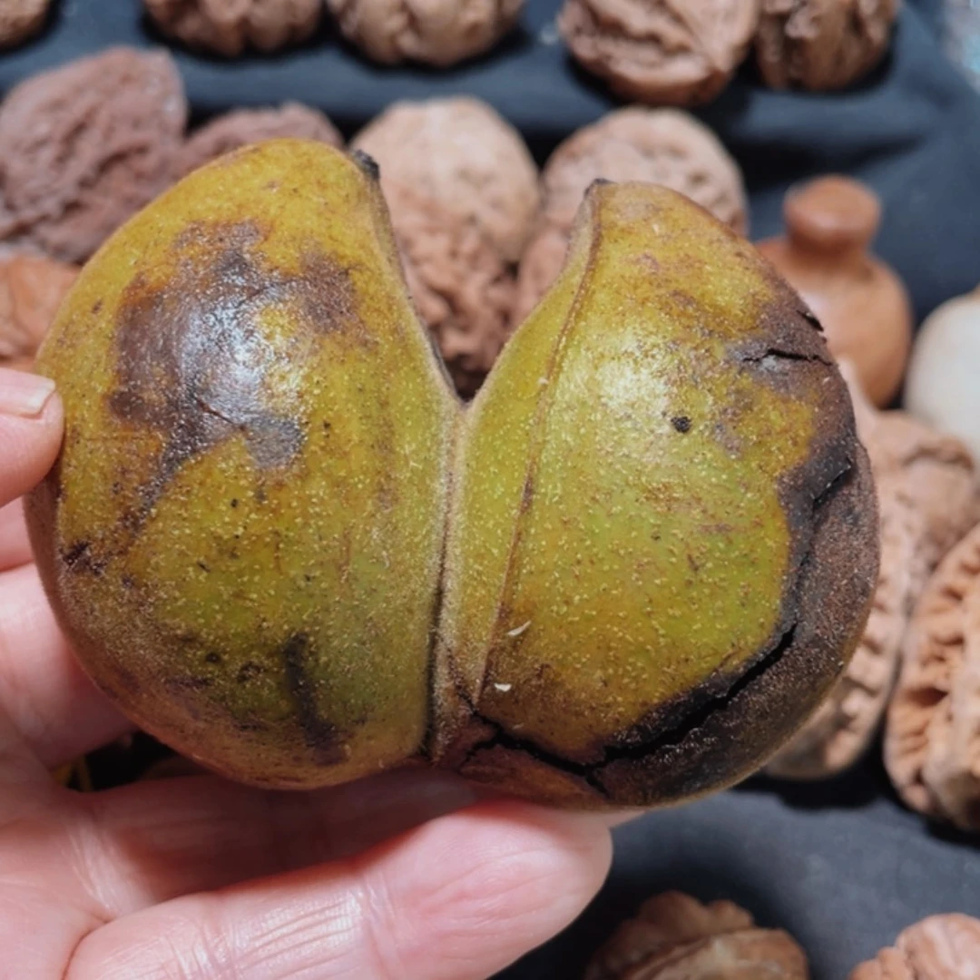 【闪购商品】把件文玩核桃东北楸子8