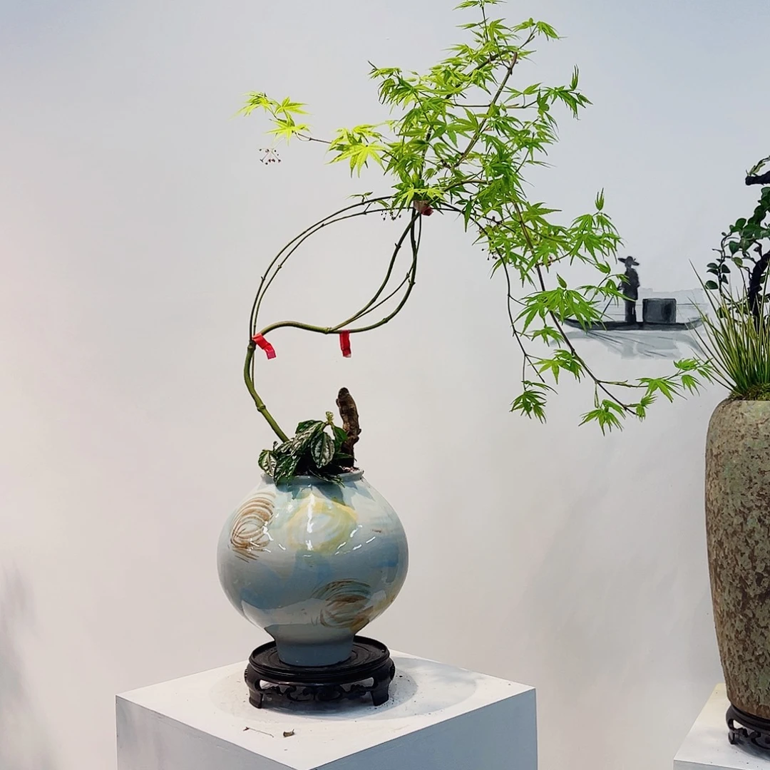 叶****）高端绿植一物一拍