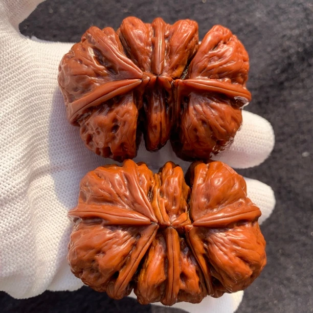 三联体铁核桃边60高37肚44