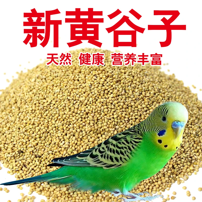 家养各种鹦鹉常用带壳黄谷子天然营养鹦鹉谷子食物