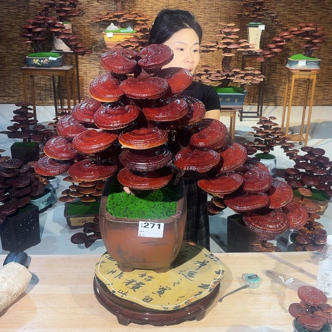 吴****店灵芝888888888888