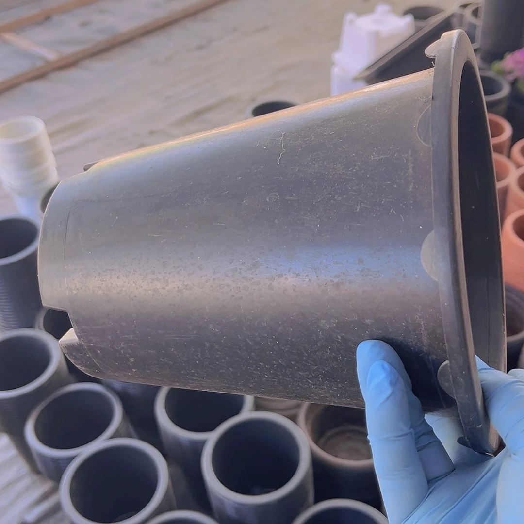 塑料旧17公分黑兰花盆10个