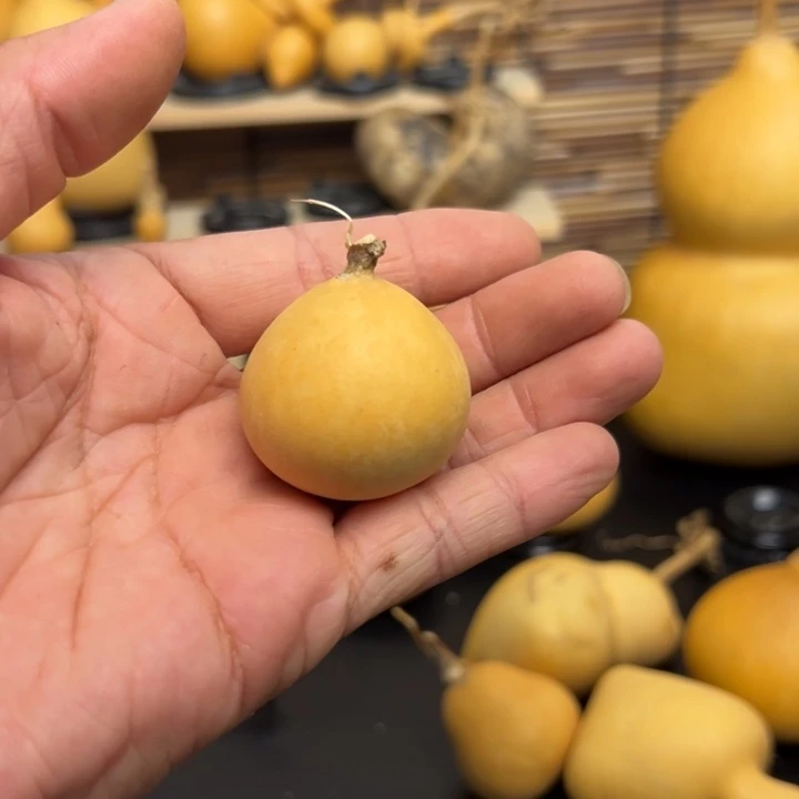 多***品1599322652693385599