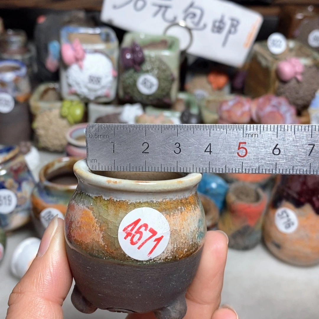 拍5送一个小礼物