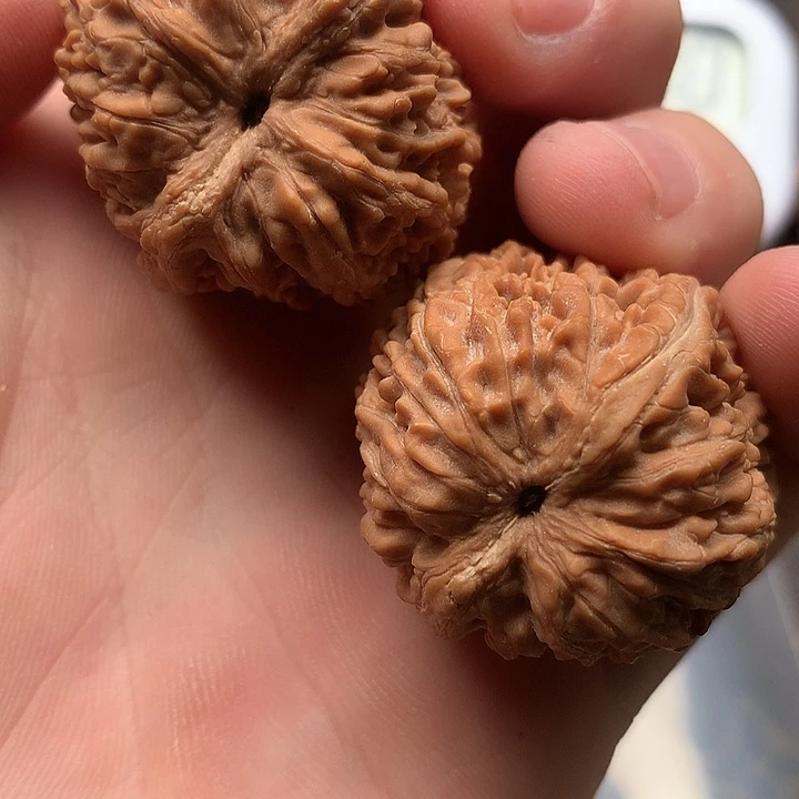 老****。大蒜头哈哈哈哈哈哈哈哈哈哈哈哈哈