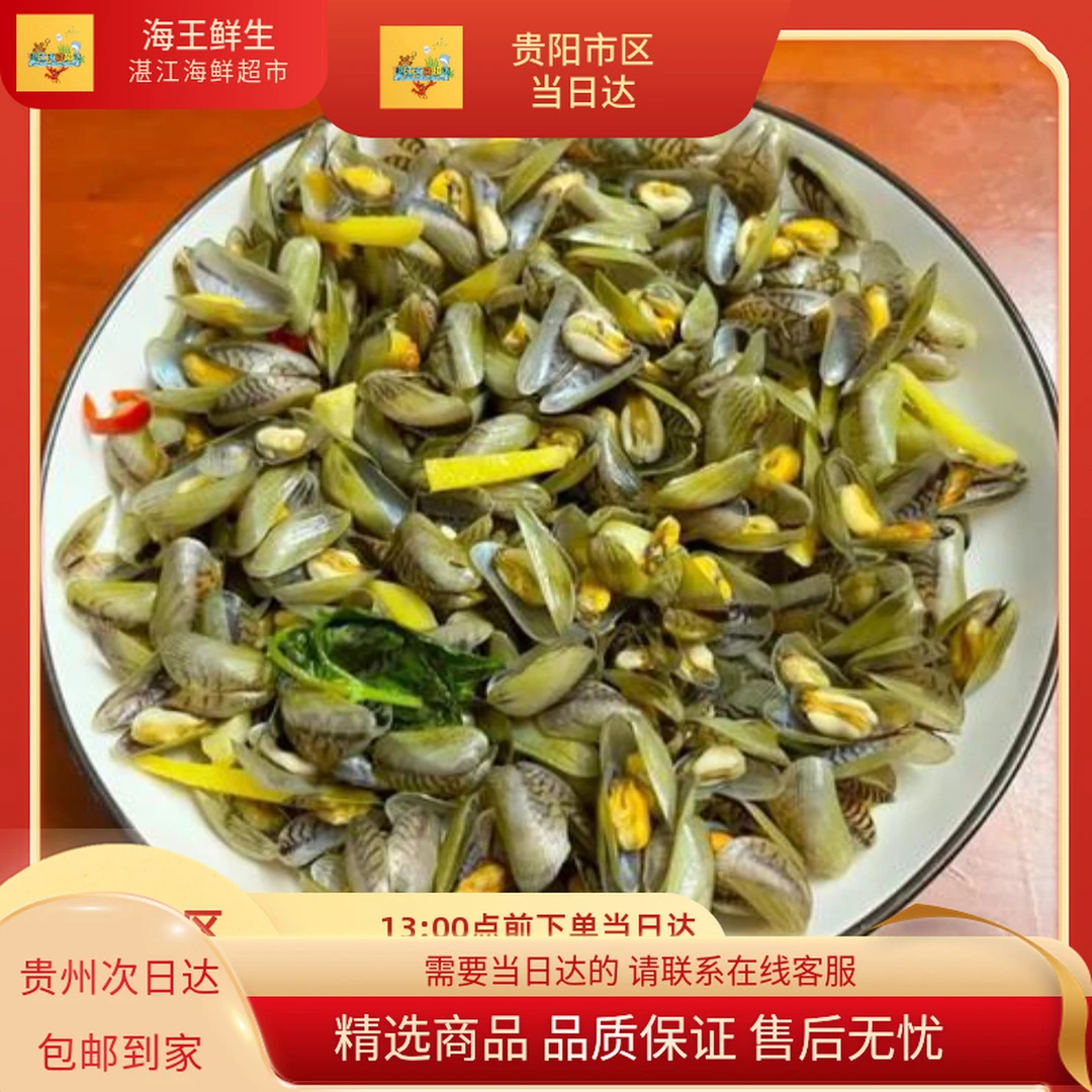 【贝类】鲜活海瓜子/鲜活薄壳 2斤