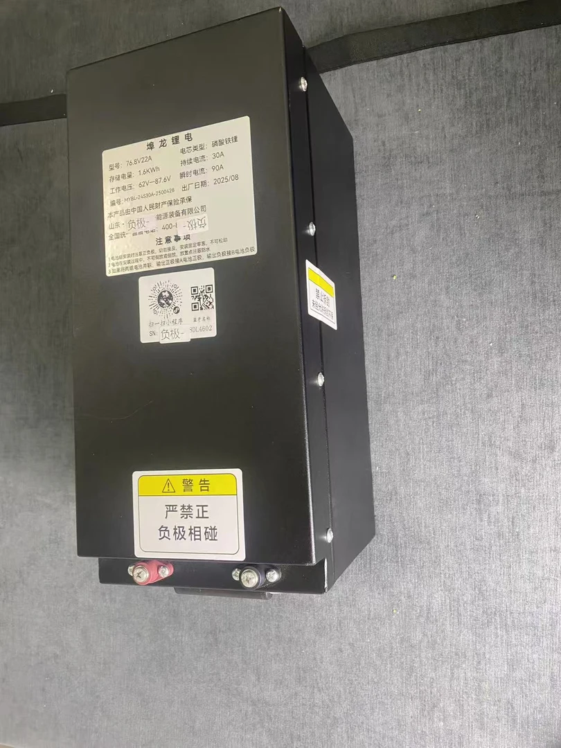 成品48v60v72v家用二轮三轮电池 带充电器