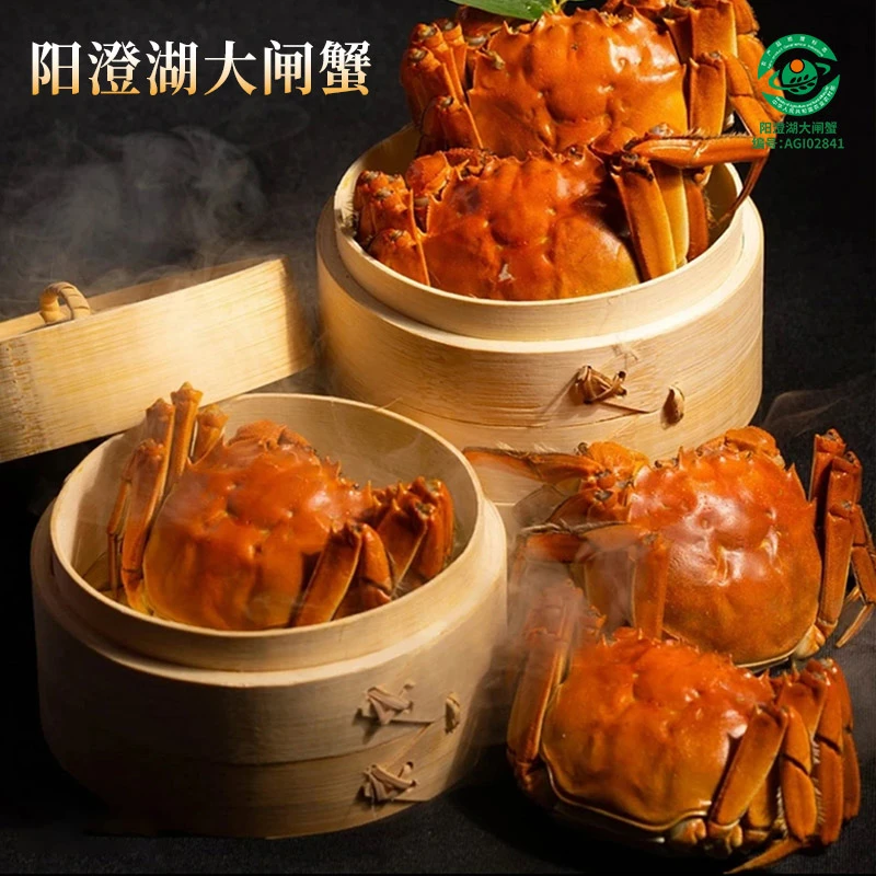 【阳澄湖大闸蟹】活蟹全母2.5两8只精选礼盒装塘养鲜活顺丰D