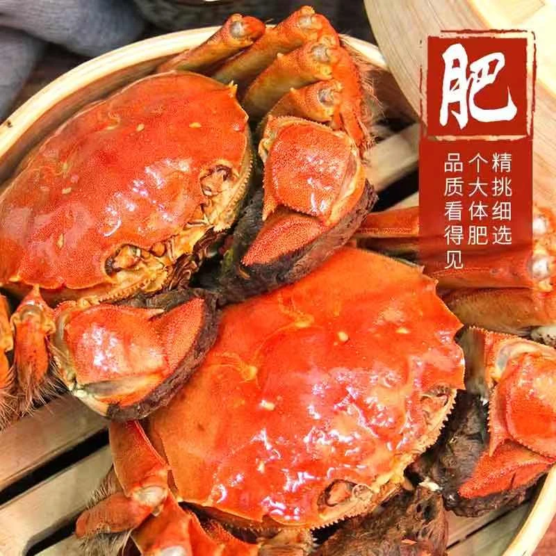女山湖【活蟹】明光女山湖大闸蟹公蟹4.5两母蟹3.5两各5只