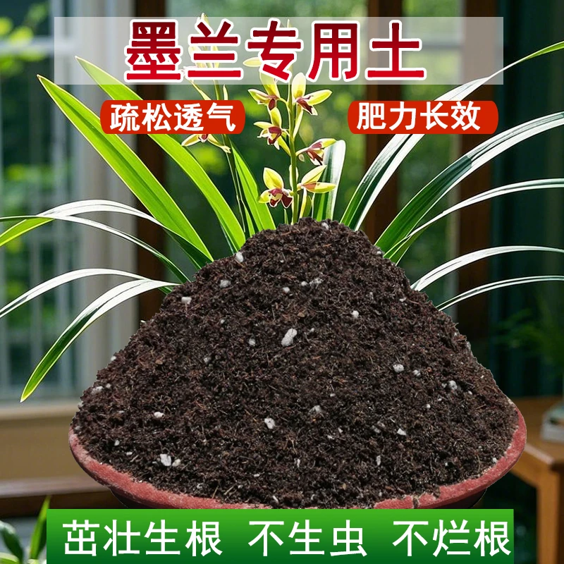 墨兰专用土营养土养花种菜土育苗绿植有机通用型肥效种植土壤