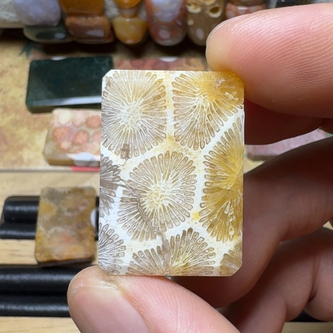 硅化玉天然有机玉石保真色未镶嵌瑕疵特价