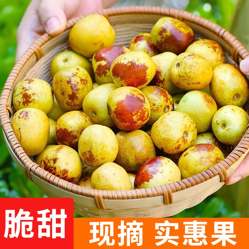 【脆甜】5斤冰糖冬枣YT新鲜水果大枣应季枣子青枣冰糖鲜枣临猗批发