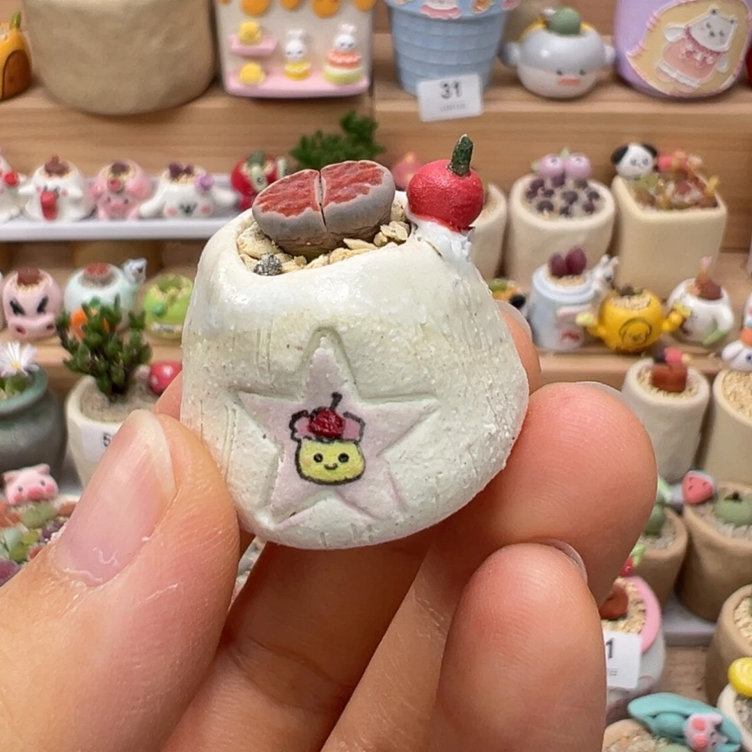 多肉植物85号拇指盆