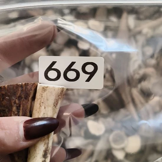 A***巴鹿角鹿角鹿角鹿角鹿角鹿角