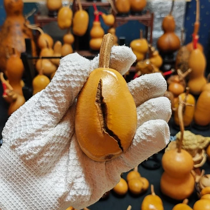 时***轩直播间链接葫芦葫芦