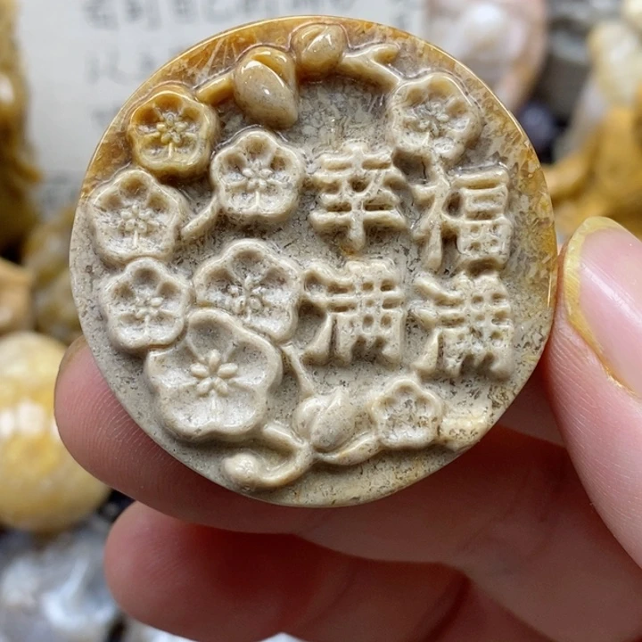 颈饰未镶嵌硅化珊瑚（珊瑚玉）
