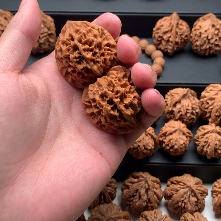 其他核桃喜*秦岭森林生态系统保护与管理