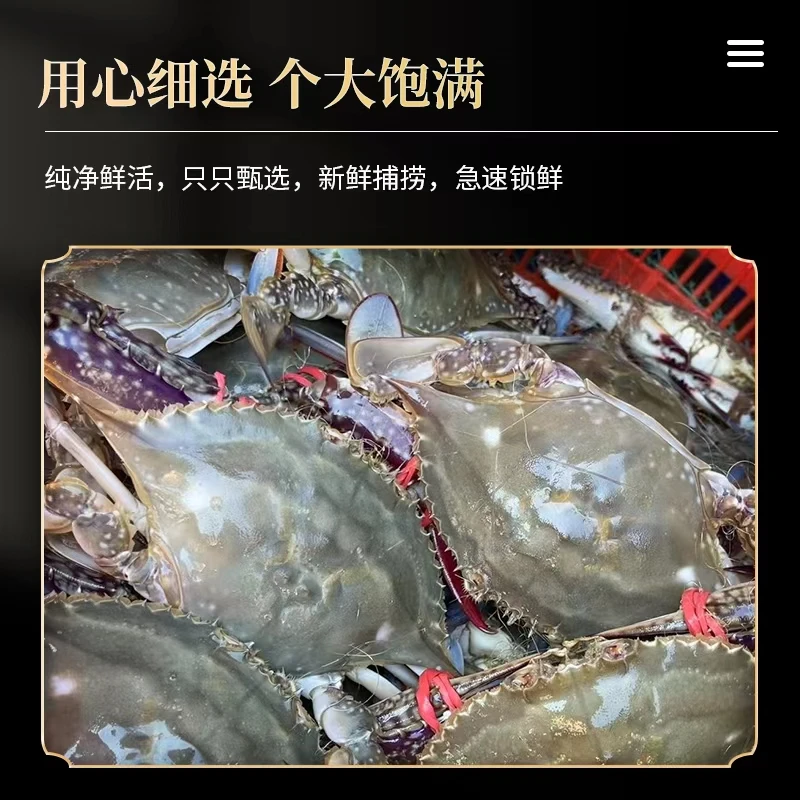 【保鲜不保活】石岛鲜活梭子蟹 公蟹 5-6两一只 一斤2只 顺丰活发