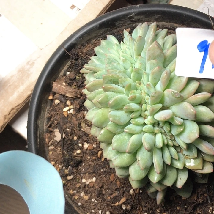 初91/////////////////