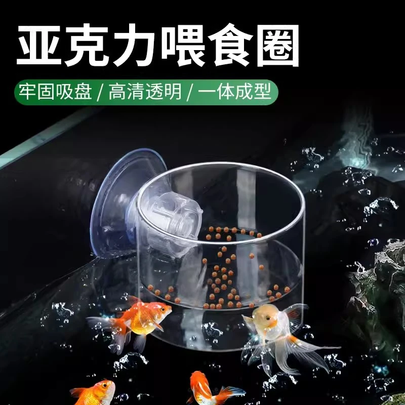 鱼缸喂食器红虫杯小型水族箱鱼喂食圈漂浮喂鱼器投食圈+固定吸盘