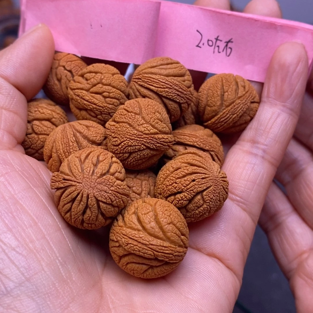 秦岭龙纹桃核13颗