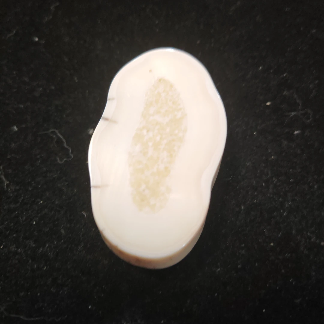 猛犸猛犸虬饼子WW566