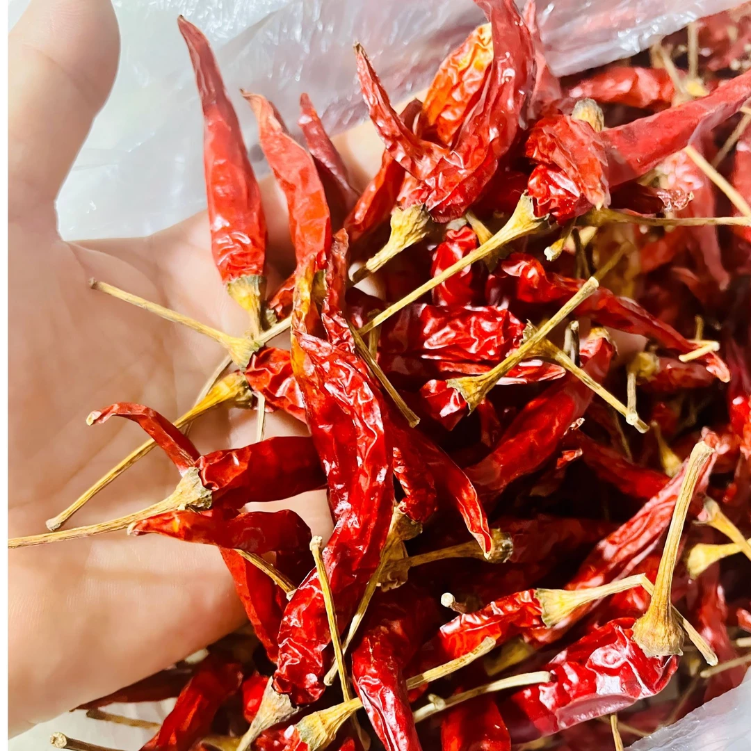 农家辣椒树自然风干小米辣，干辣椒，超香超辣