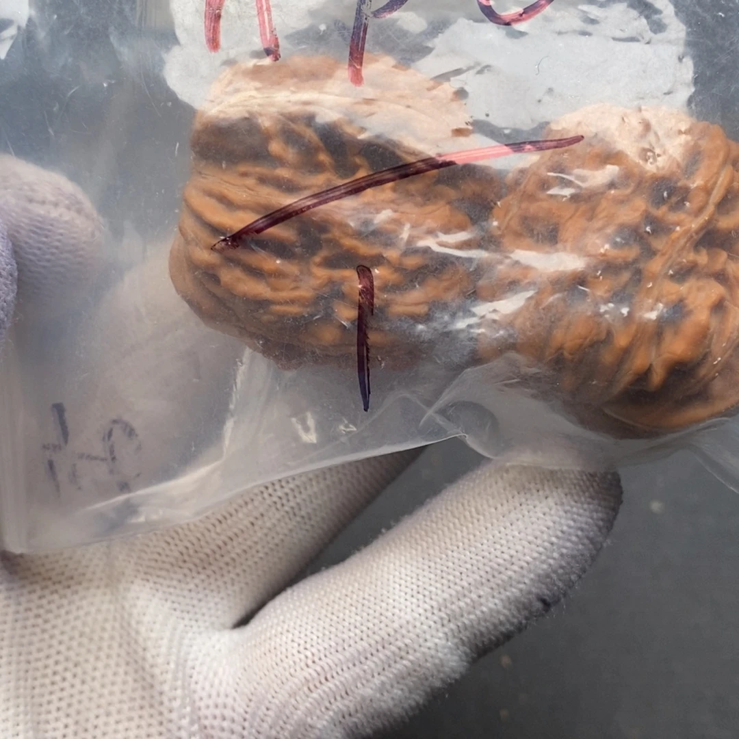 N***C核桃手串/手链文玩核桃四座楼福袋