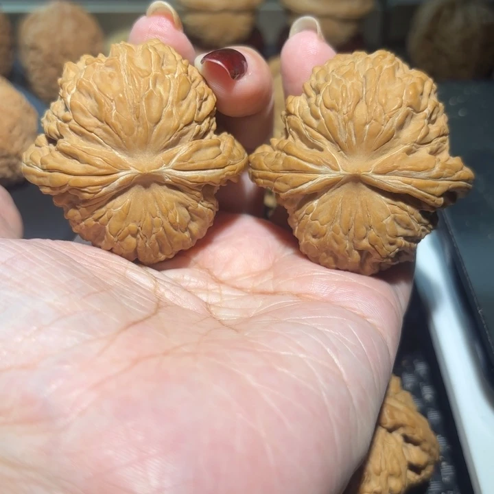 文玩核桃把件46全品华坤龙