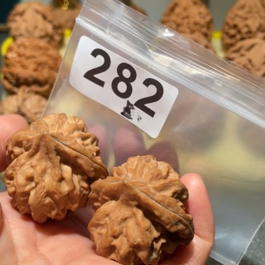 把件文玩核桃曹大龙37