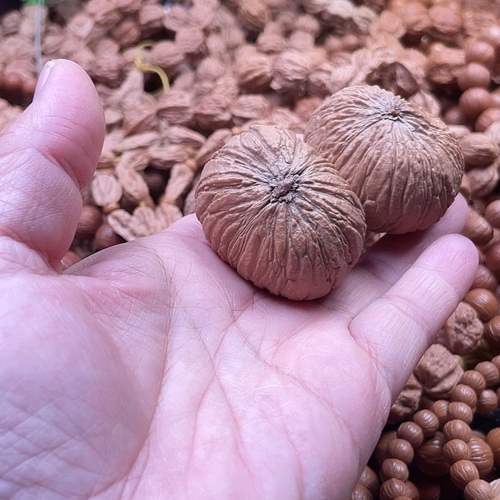 手串猴头核桃4.4手把件