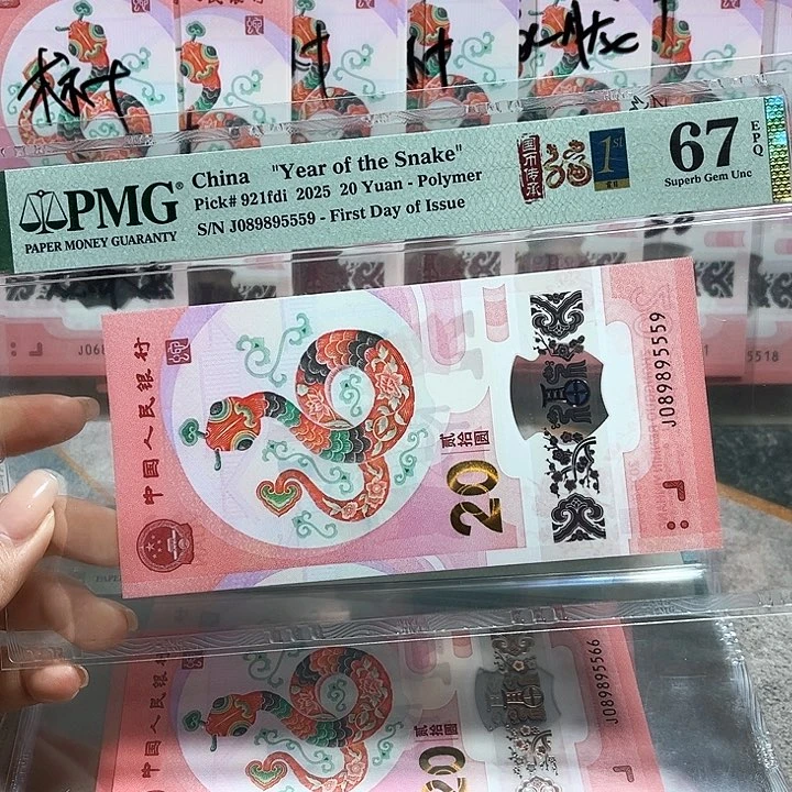 塑料089895559。。金马王豹子身 全大