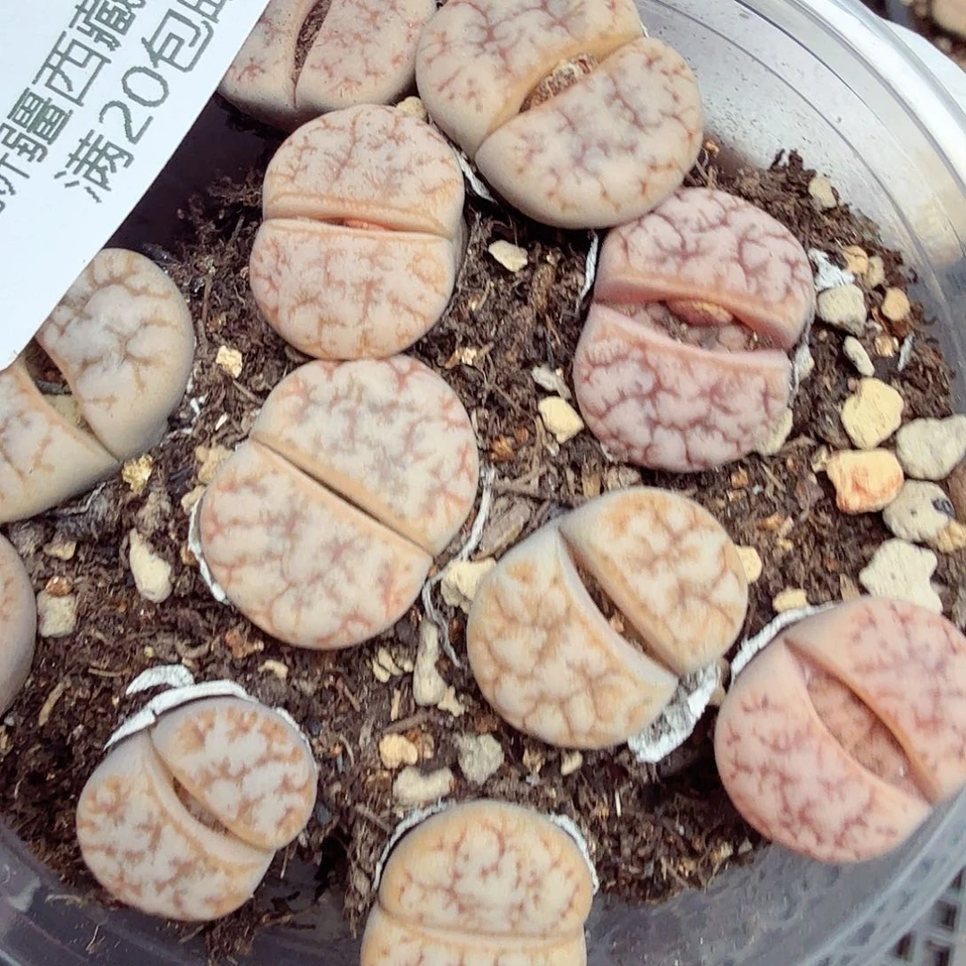 这个点睡起来都还困吗712