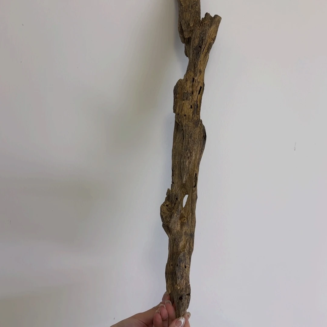 沉香手把件无**学沉香奇楠老料210克