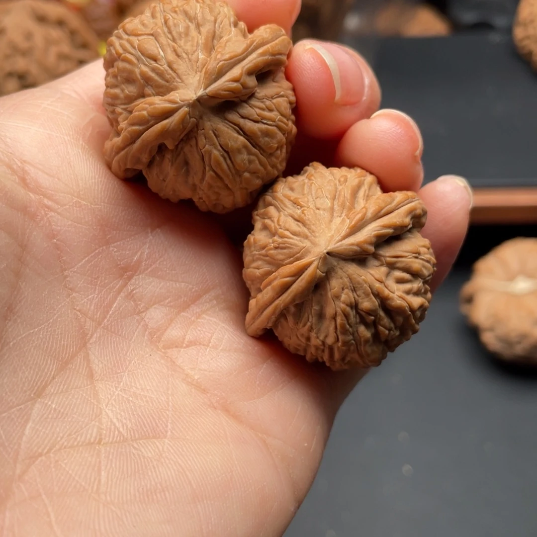 文玩核桃把件白狮子小手捻34