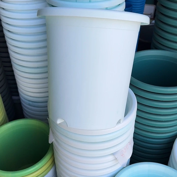 串色7#口径33白色6个无托