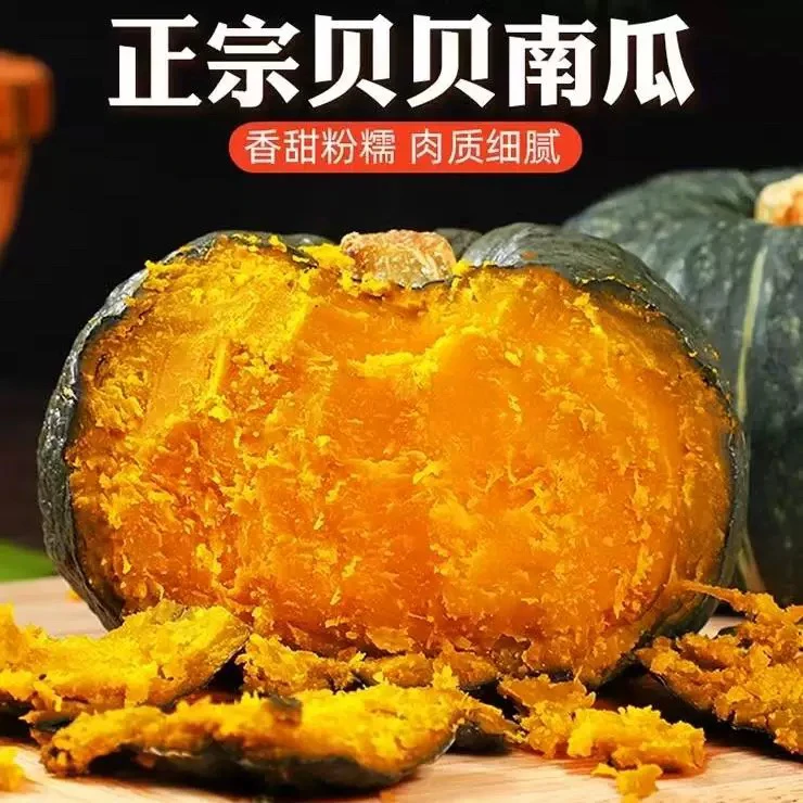 【产地真贝贝】营养口感肉厚栗香香味粉糯代餐小南瓜细腻孕妈宝辅食