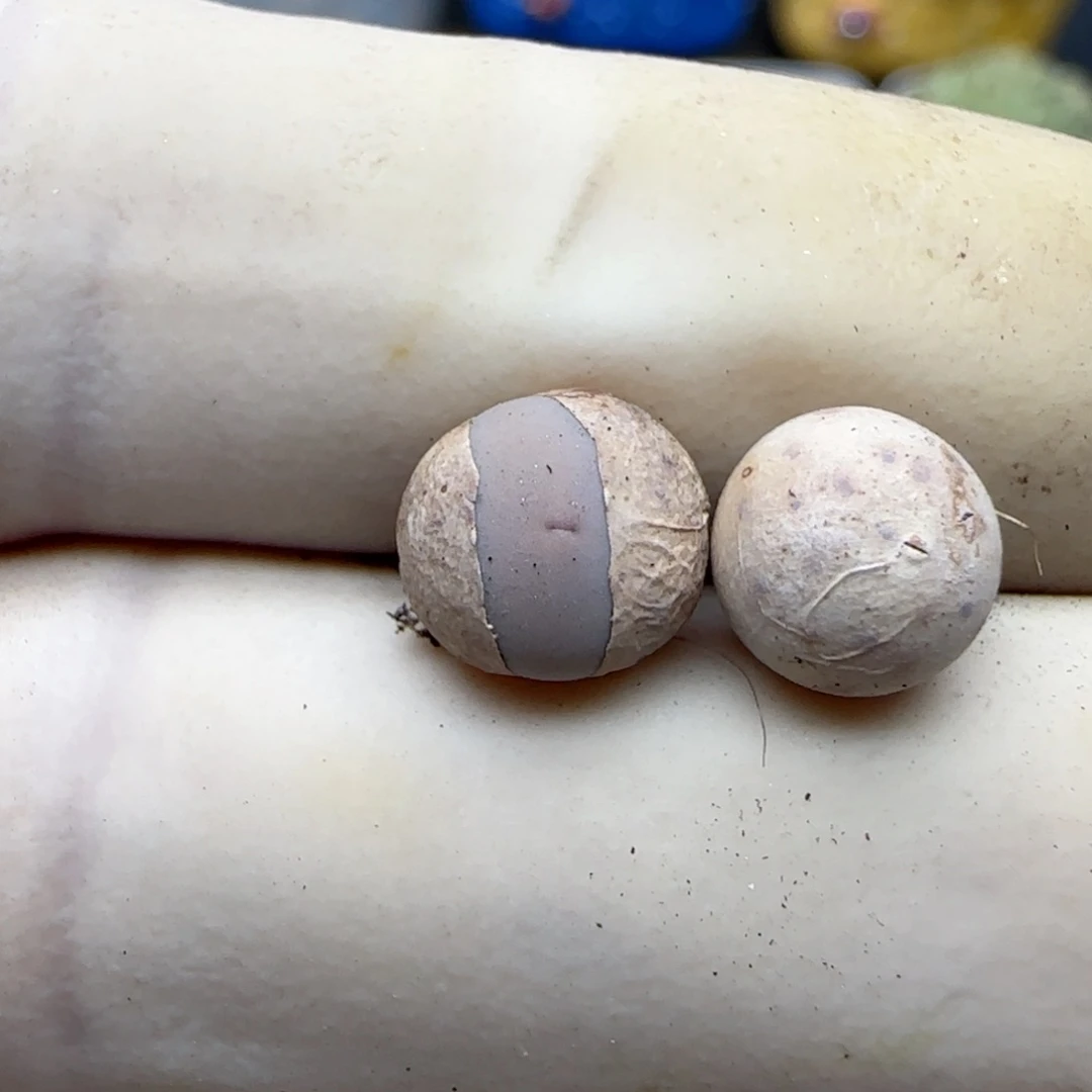 2257福利福利福利