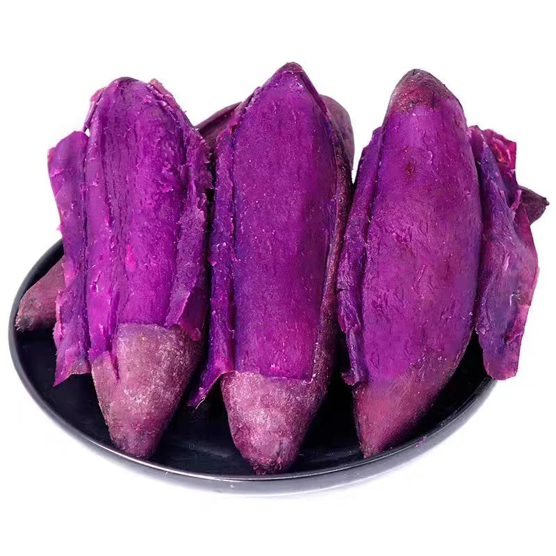 湖北新鲜沙地紫薯现挖粉糯香甜可作宝宝辅食粗粮早餐
