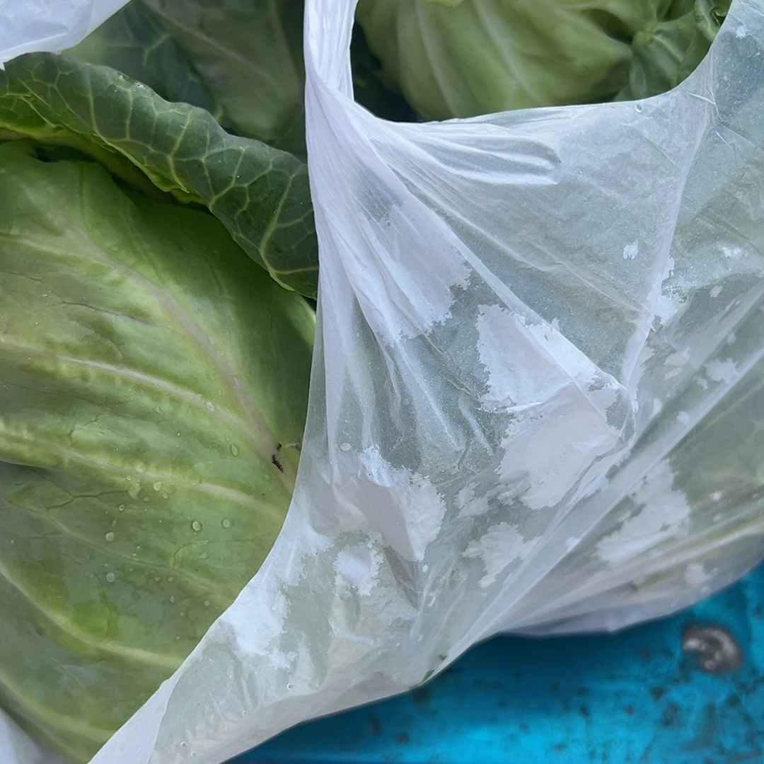 D***e5天中国大陆包装代购包菜4棵