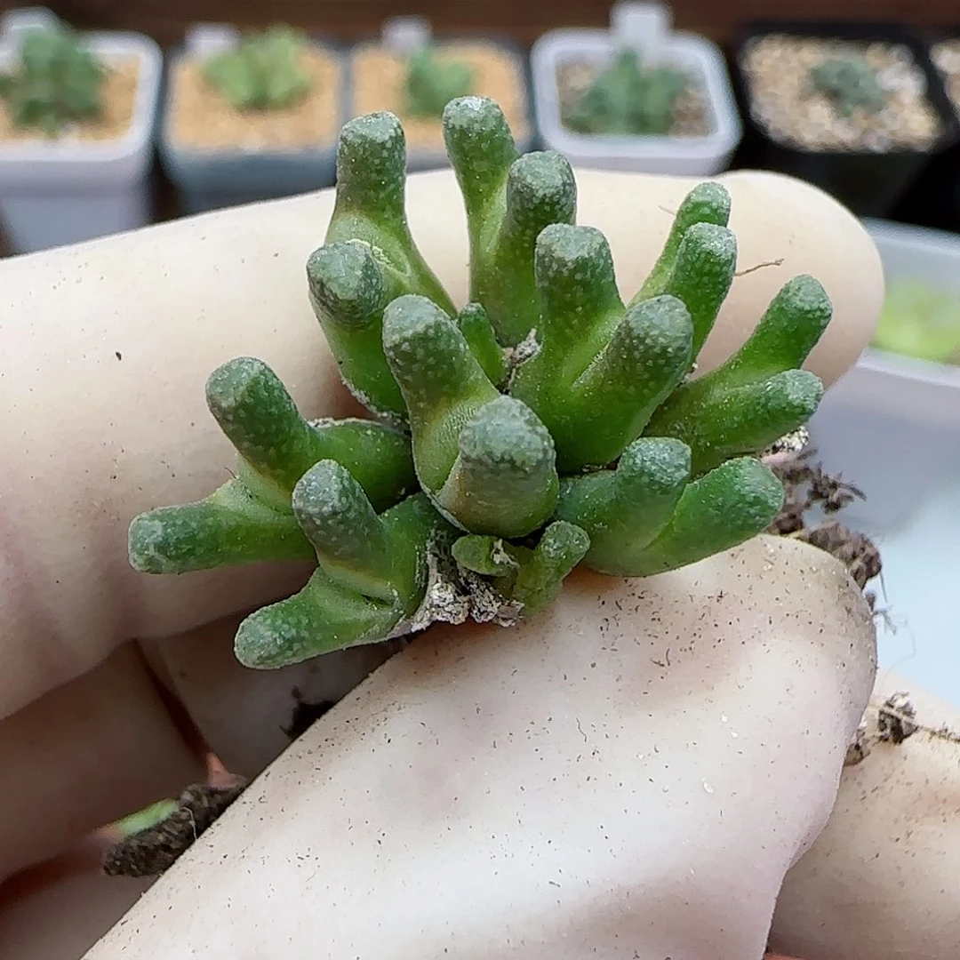 426福利福利福利