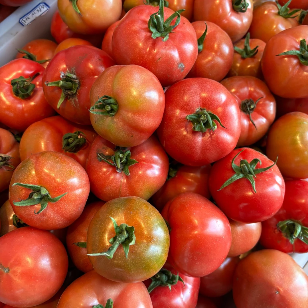 现摘现发铁皮番茄套餐/斤新鲜番茄河北省【好东西】河北省