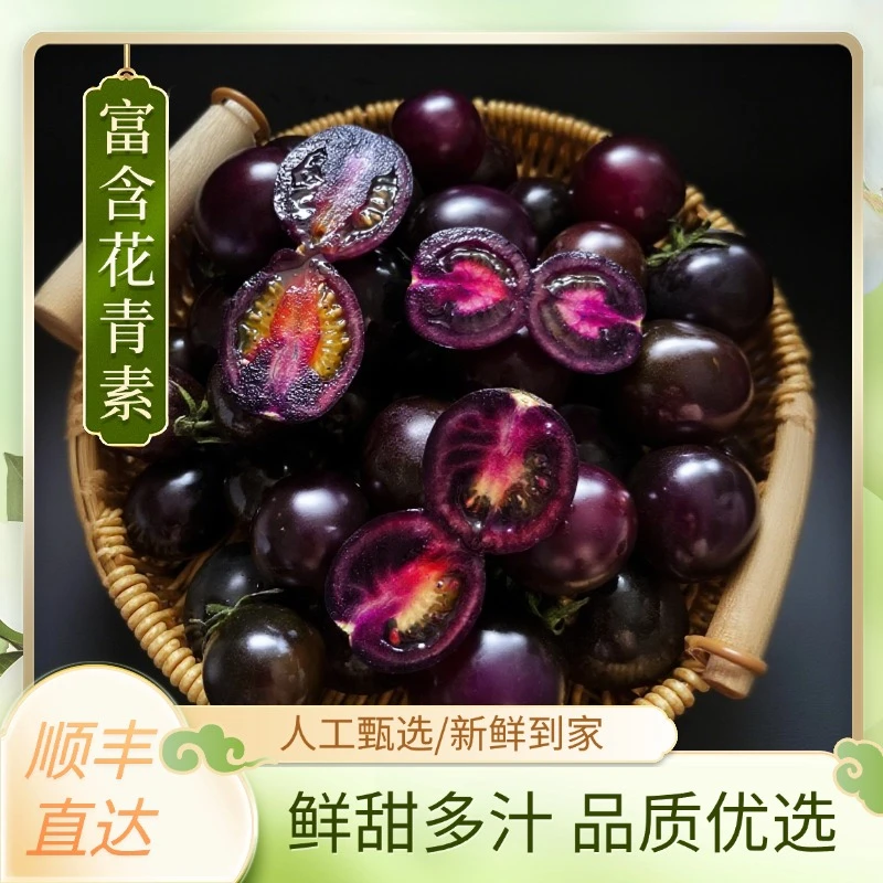 【顺丰包邮】黑珍珠小番茄黑玫瑰新鲜黑色紫色水果圣女柿子花青素