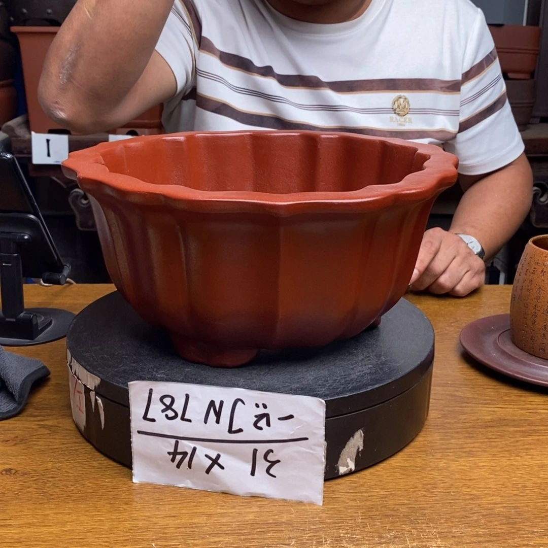 紫砂货号一只JN787